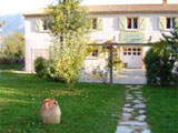 Corsican Mystery